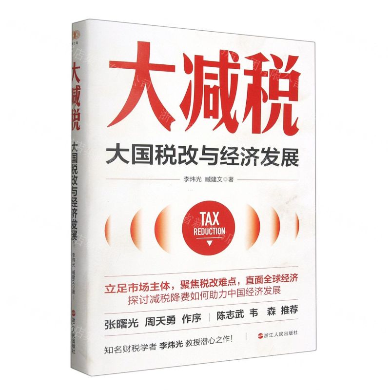 【N】大减税(大国税改与经济发展)-9787213110184