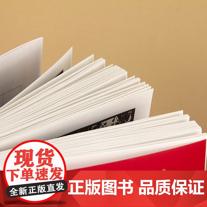 中国历代名碑名帖精选 郑文公碑 北魏郑道昭楷书毛笔字帖书法临摹练习古帖拓本书籍楷书毛笔书法字帖 中国历代名碑名帖精选书籍高清大图