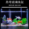 鱼缸小型客厅家用鱼缸水族箱热弯透明玻璃缸斗鱼虾龟懒人水草缸