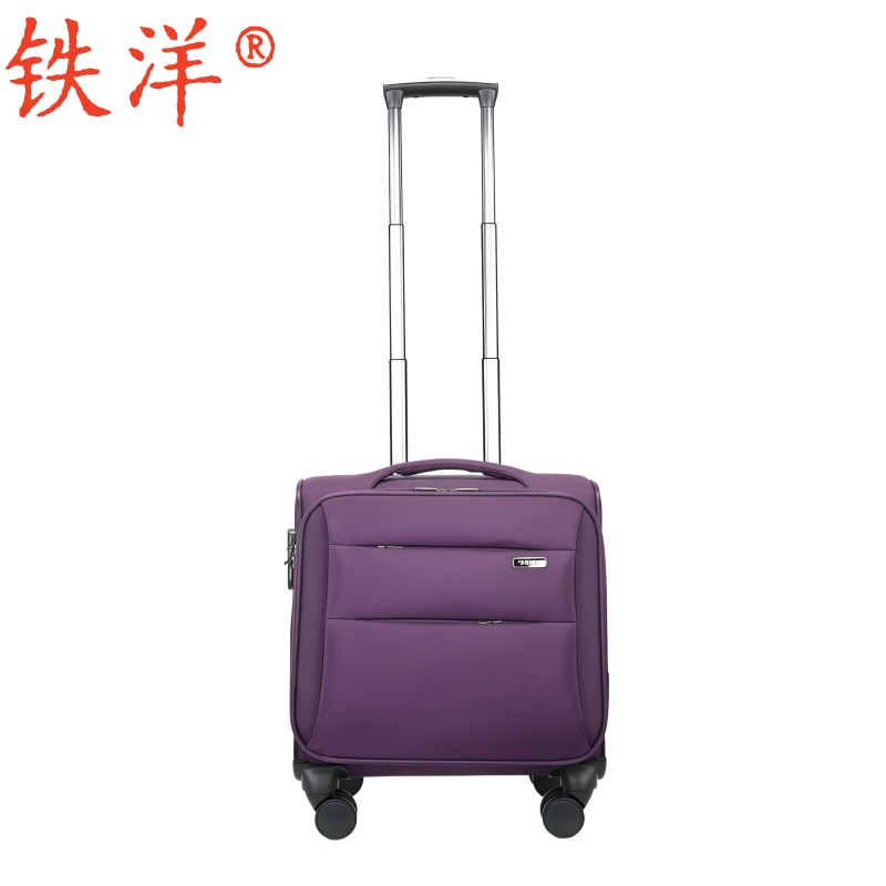 铁洋 拉杆箱 行李箱 TY901升级版 16寸 个高清大图