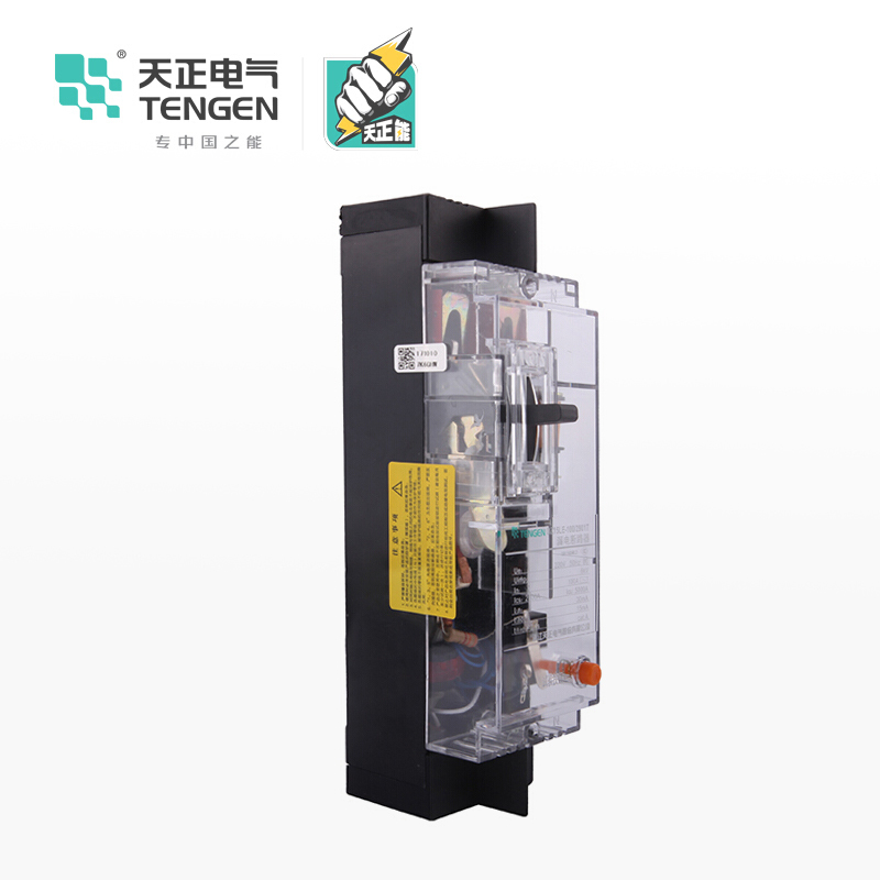 天正电气 DZ15LE-100 5KA 热磁式 63A 2P手动固定式380V 01020010272塑壳漏电保护断路器