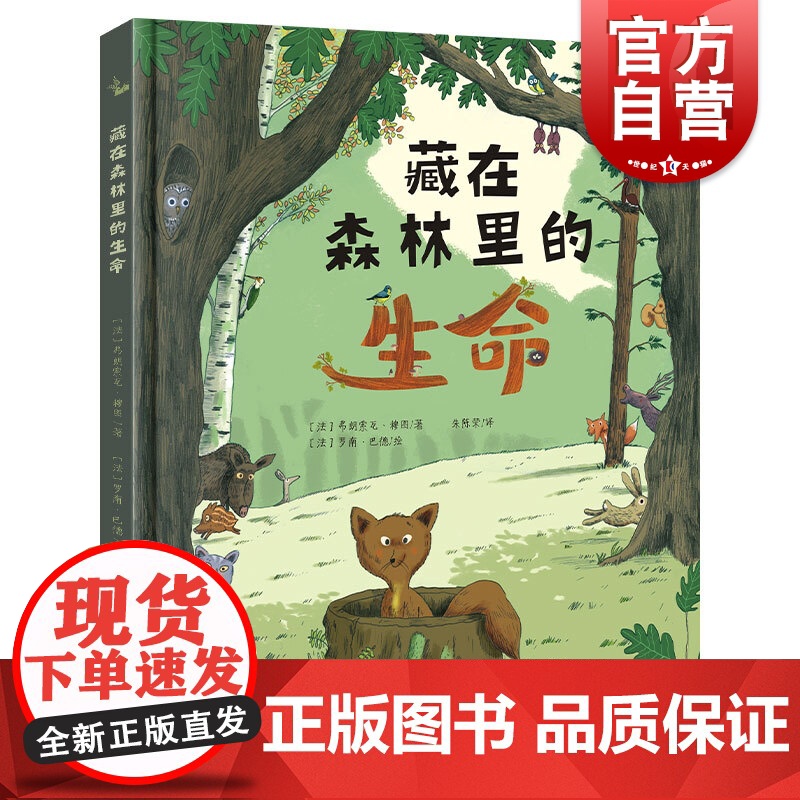 藏在森林里的生命 认识全球不同森林里的生命)鹦鹉螺高清大图