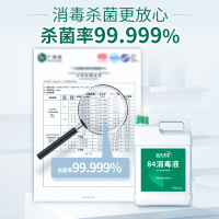 蓝月亮 84消毒液 5kg*1瓶 消毒水 杀菌率99.999% 家庭果蔬玩具宠物用品等多用途可用