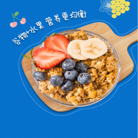 欧洲原装进口三特sante营养冲饮即食饱腹早餐谷物干吃燕麦片袋装