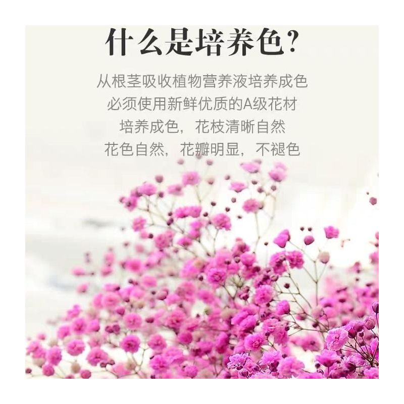 干花真花花束云南满天星勿忘我家居百搭送礼客厅卧室装饰真花