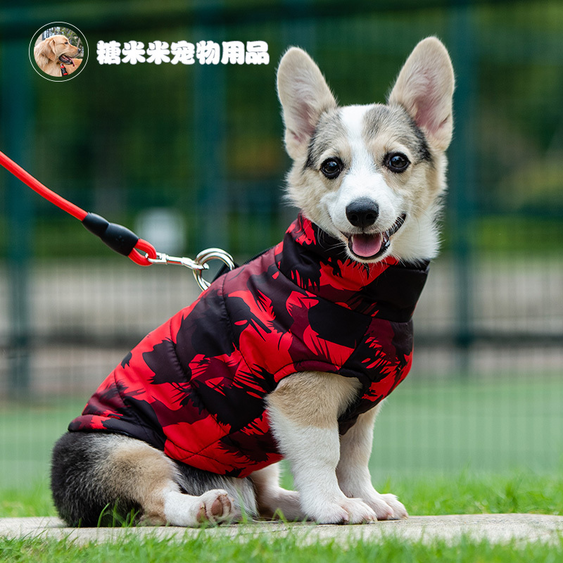玫红色 S(建议5斤以内) 狗狗衣服秋冬柯基衣服保暖泰迪小型犬金毛柴犬中大型犬防掉毛棉服