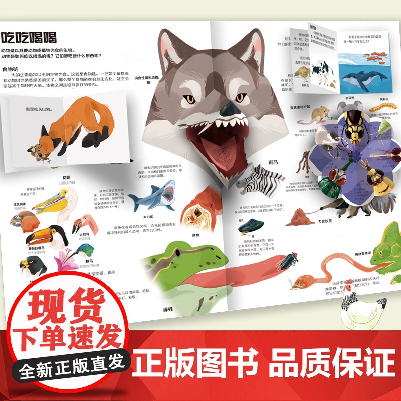 [央视网]不一样的动物世界 儿童3d立体书翻翻书 自然科学书籍 动物世界科普百科全书绘本 培养动手能力 QH高清大图