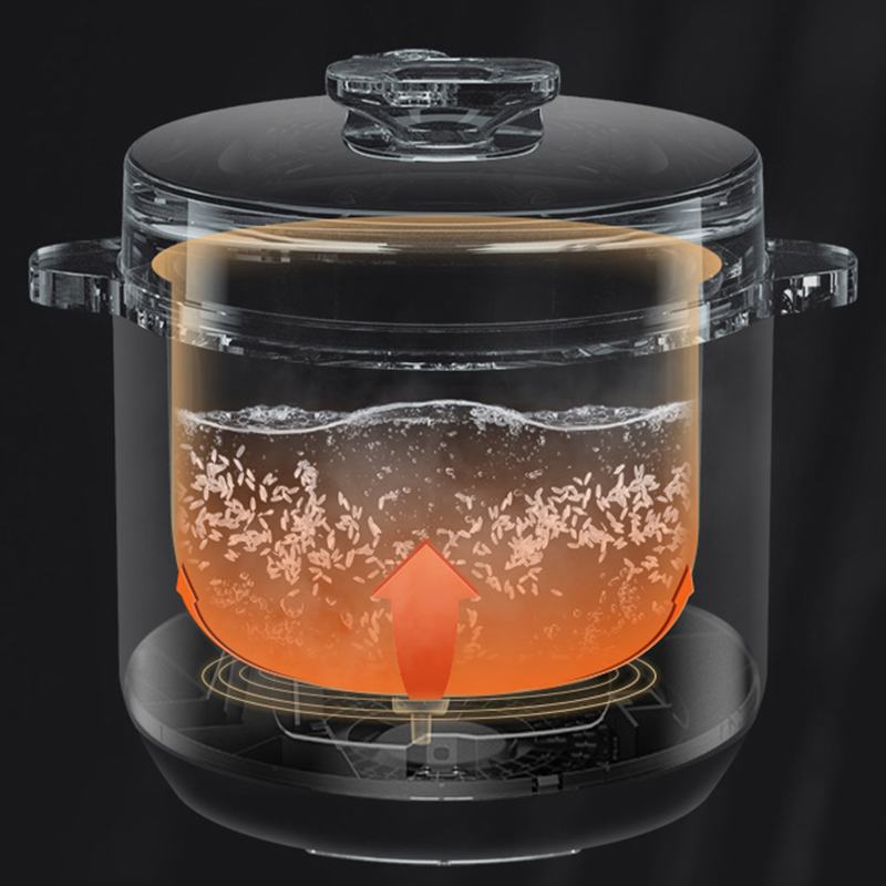 德国蓝宝电压力锅5L双胆LB-21D100A11高清大图