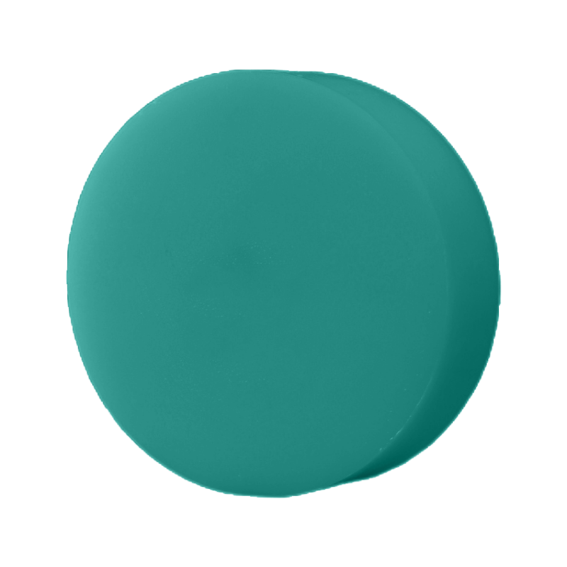 百晟长恒 BSCH-18 直径45cm*10cm 绿色菜墩 (计价单位:个)绿色