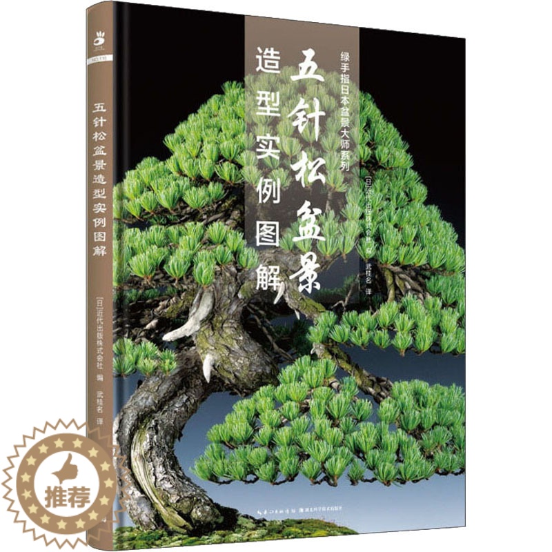 [醉染正版]五针松盆景造型实例图解 湖北科学技术出版社 (日)近代出版株式会社 编 武桂名 译 养花书籍高清大图