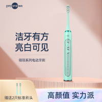 博皓声波电动牙刷家用成人款全自动牙刷学生党软毛牙刷情侣款男女通用电动牙刷 2421/T31