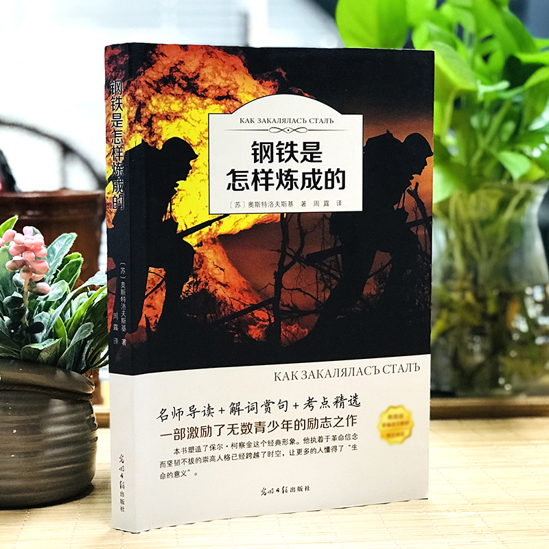 [正版]钢铁是怎样炼成的初中生原着完整版原版人民教育出版社初二八年级下册必读课外阅读书籍人教版文学名著怎么样练成的8年级高清大图