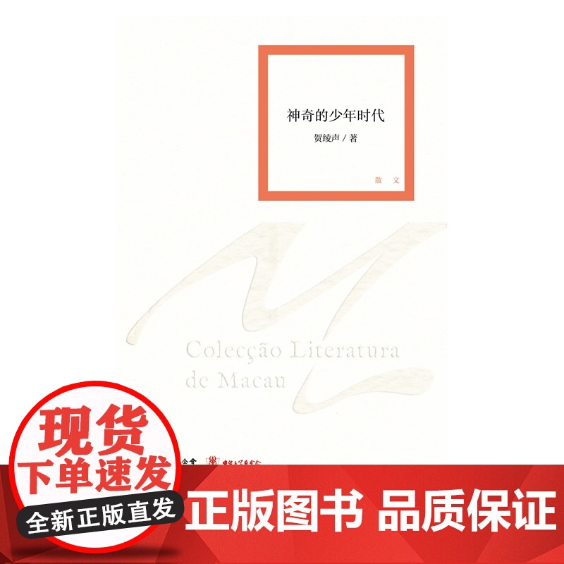 神奇的少年时代(澳门文学丛书)一部文艺青年演化史,澳门80后的成长片段、青春记忆高清大图