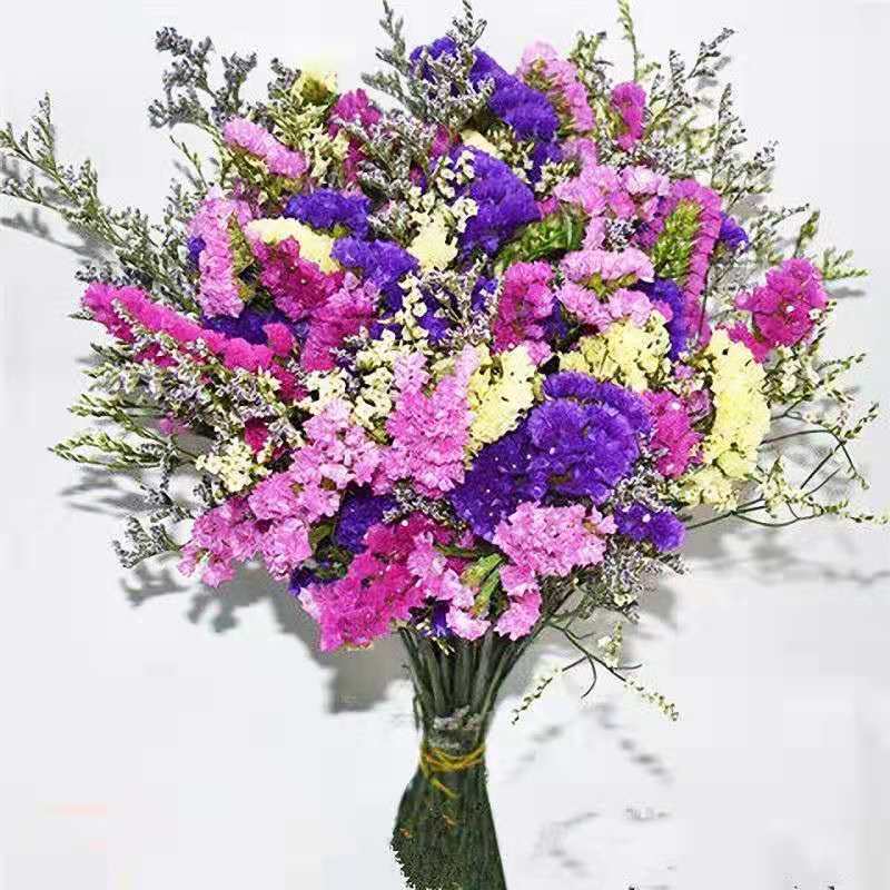 云南勿忘我干花花束买一斤送一斤满天星干花客厅摆件花束真花|紫玫粉黄+黄水晶+草 40支