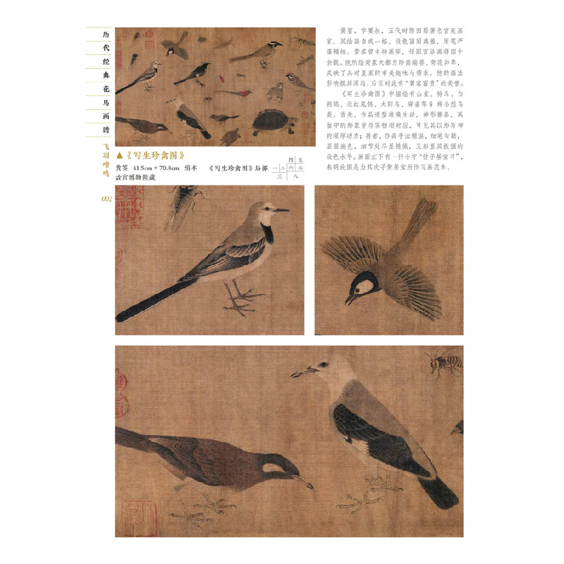 正版新书]历代经典国画画谱·飞羽啼鸣张阳 编9787571218812高清大图