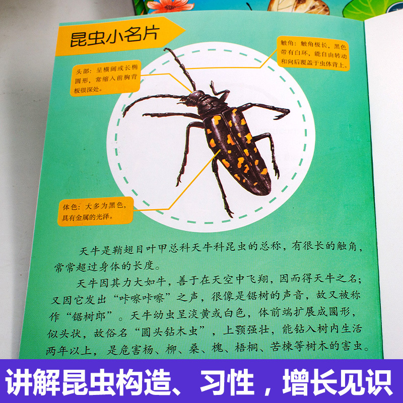 法布尔昆虫记双语版10册 [正版]法布尔昆虫记双语版全套10册原著完整版 三四五年级必读课外书小学生阅读书籍老师适合儿童