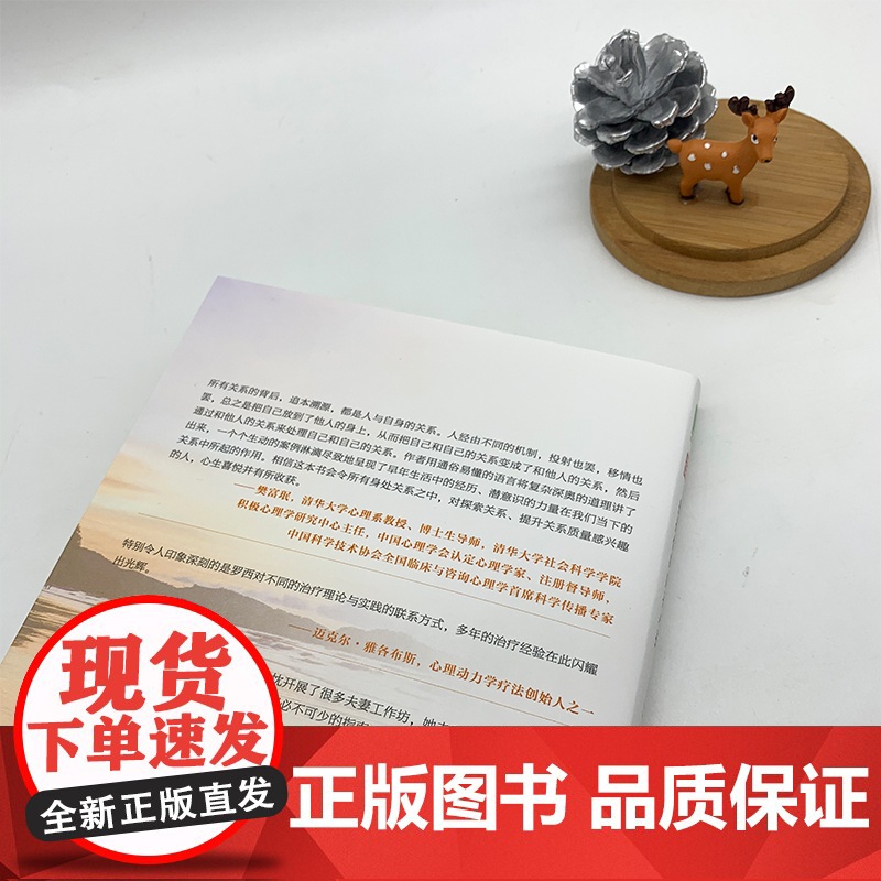 拥抱你的内在小孩 珍藏版 罗西 马奇 史密斯 著 亲密关系疗愈 正版书籍 亲密关系 疗愈之道 投射恐惧 华章心理202高清大图