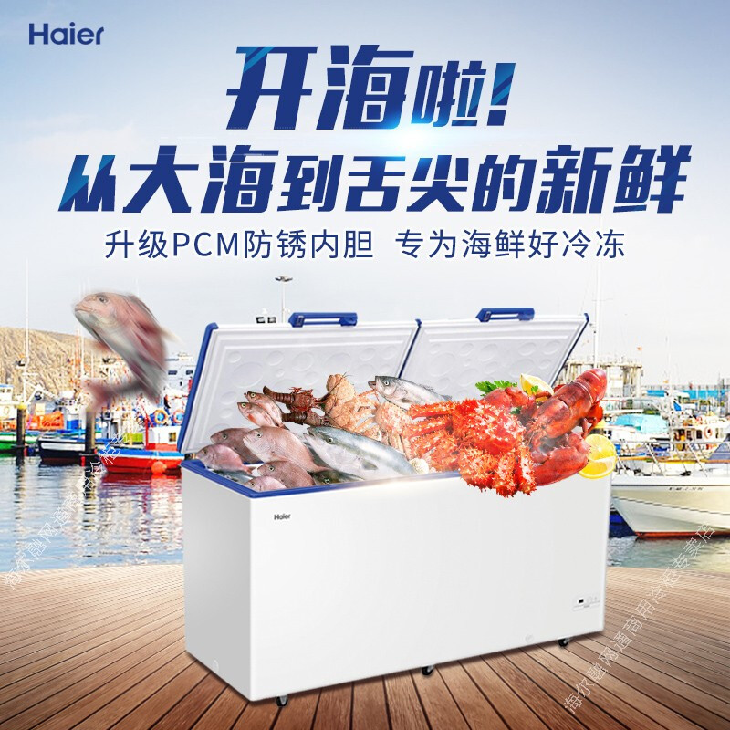 海尔(Haier)冰柜 826升 BC/BD-826SEA 商用大冰柜 海鲜冷冻柜 深冷速冻 大容量冷柜