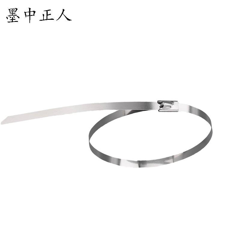 墨中正人不锈钢扎带zd1700根高清大图