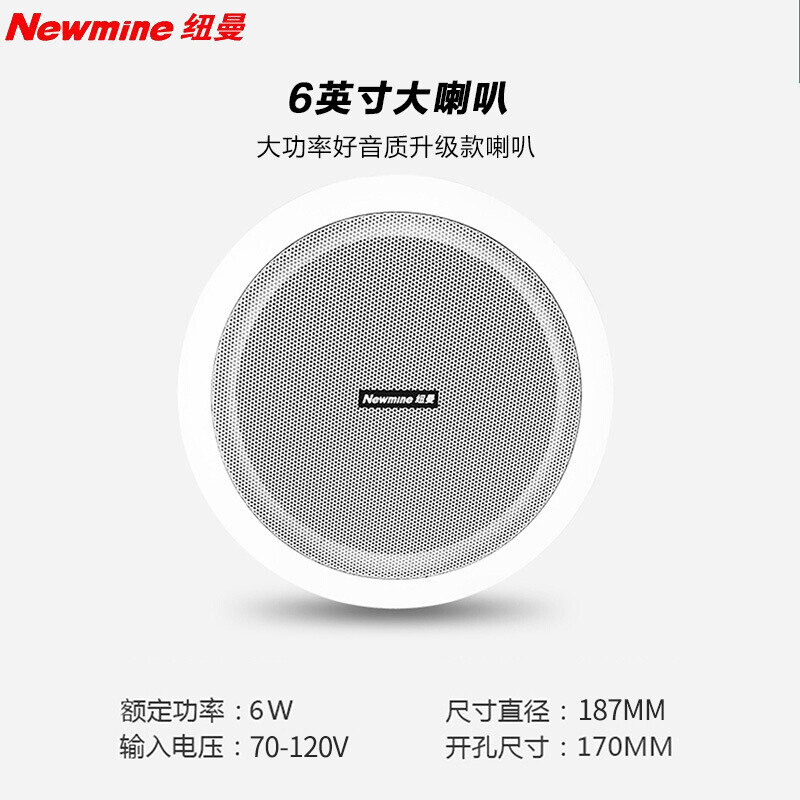 纽曼(Newsmy)功放吸顶音响 R12 6英寸一拖二高清大图