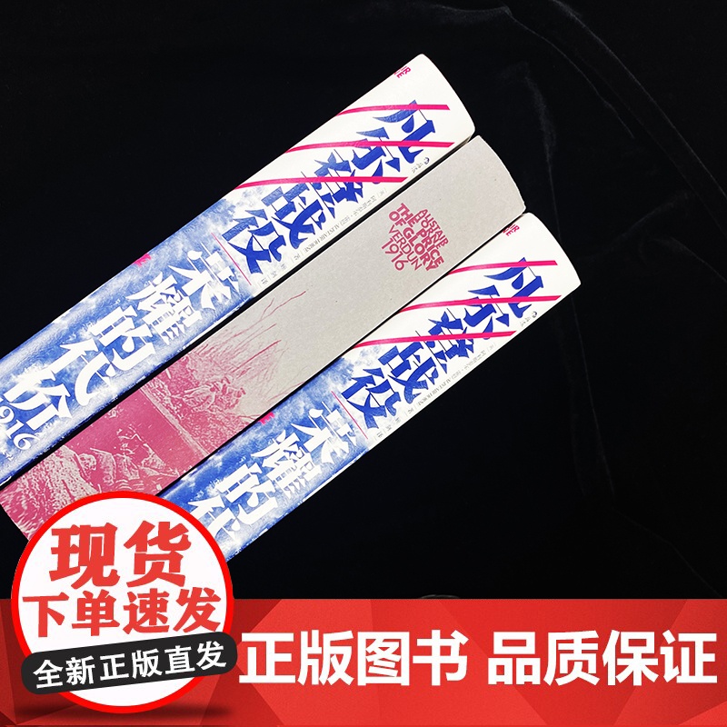 凡尔登战役 荣耀的代价1916 法国德国战争史 世界通史近代史世界史一战历史书籍书排行榜 后浪汗青堂丛书090高清大图