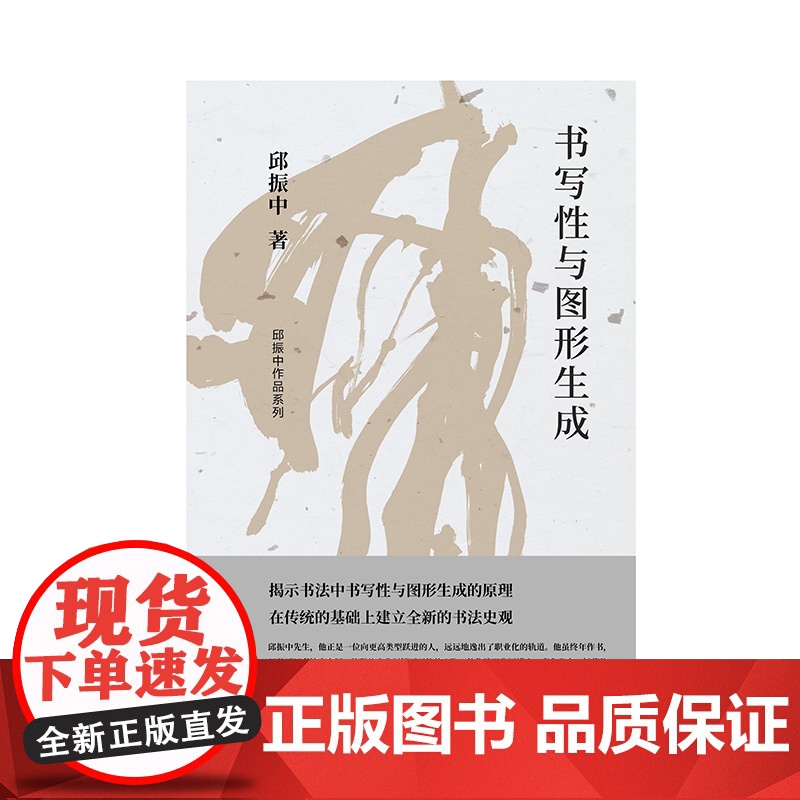 纯粹· 书写性与图形生成 邱振中/著 书法 书法理论 艺术理论 广西师范大学出版社高清大图