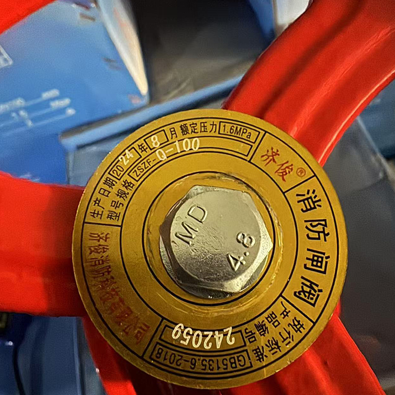 济俊 软密沟槽消防闸阀 ZSZF-100(G) DN100高清大图