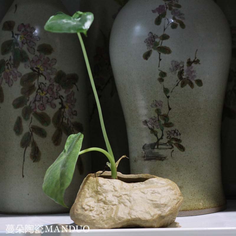 优百思 Youbaisi 紫砂花盆景德镇异形养水草植物小花盆台面花盆禅意水草花盆摆件 价格图片品牌报价 苏宁易购正顺陶瓷专营店