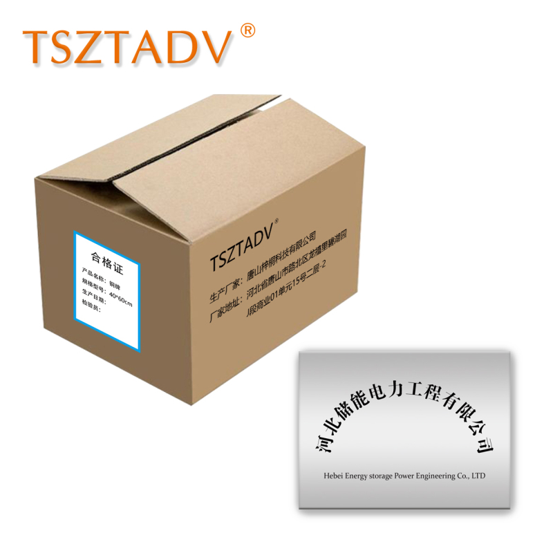 TSZTADV 铜牌 40*60cm 个