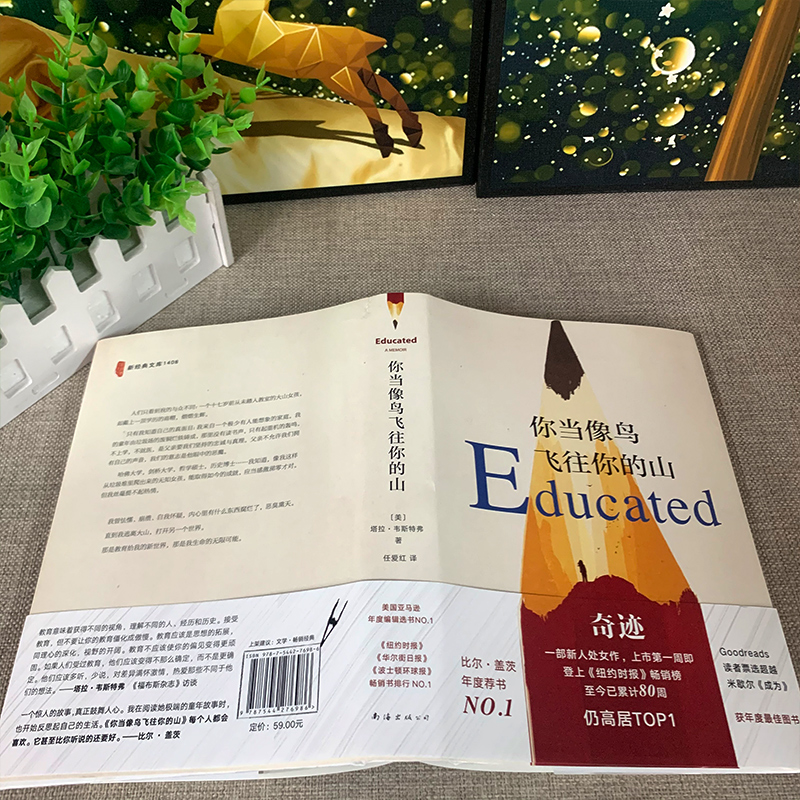 你当像鸟飞往你的山中文版正版 塔拉韦斯特弗 经典外国文学 我当你像鸟一样飞往你的山你当像鸟飞过山飞往那座山你当象鸟飞向高清大图