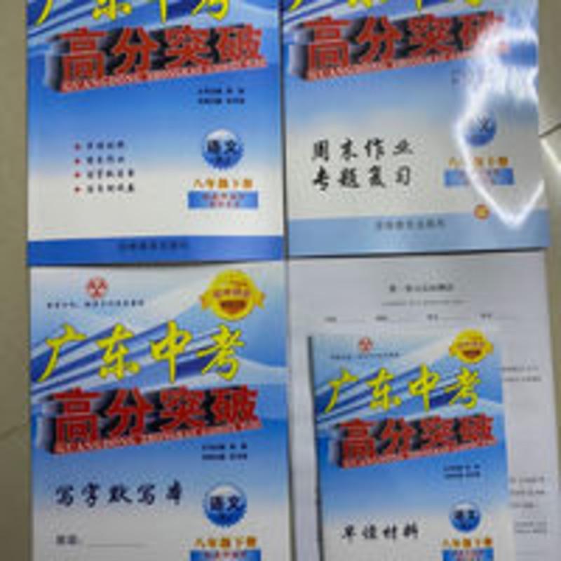2021春广东中考高分突破八年级下册语文人教版初中同步 2021春广东中考高分突破八年级下册语文人教版初中同步