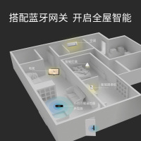 创米小白指纹锁智能锁密码锁家用电子锁防盗门锁手机远程米家APP蓝牙防猫眼门锁 创米小白智能门锁C1