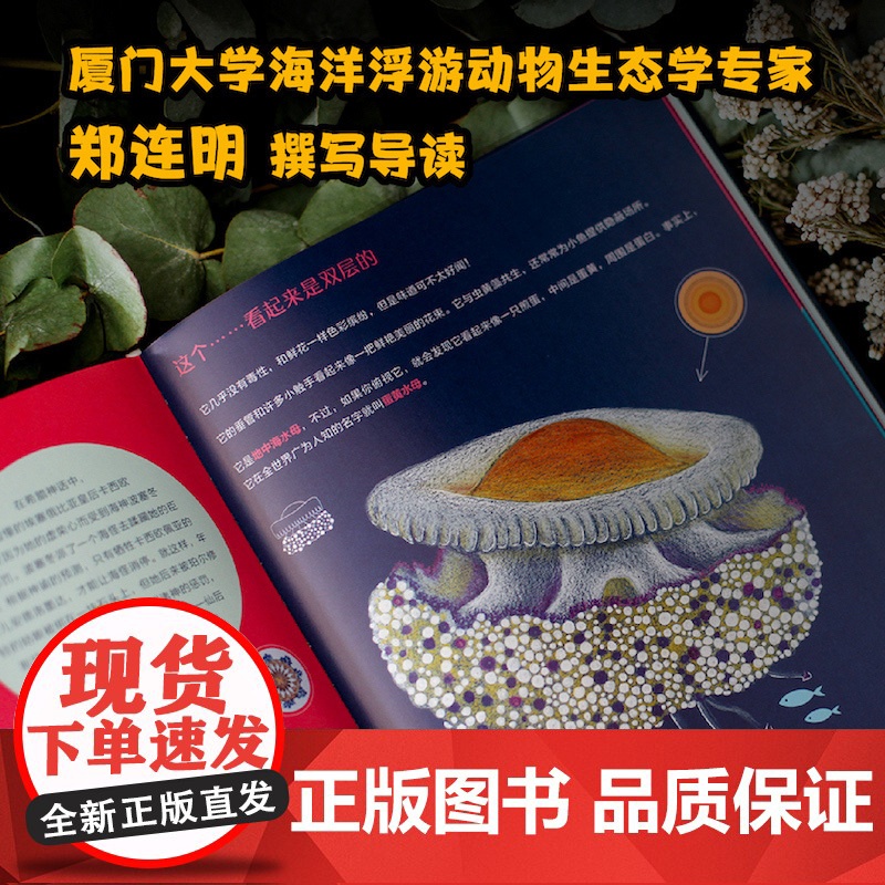 水母花园 宝拉·维塔利著国际大奖科普作品少儿科学绘本启蒙百科全书恐龙海洋动物儿童趣味科普绘本水母自然史科普书籍 译林出版高清大图