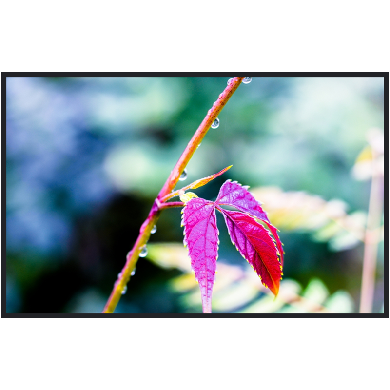 电视会议平板电视一体机3+32GB无线投屏会议室显示屏4K办公教学培训显示屏65XP3E高清大图