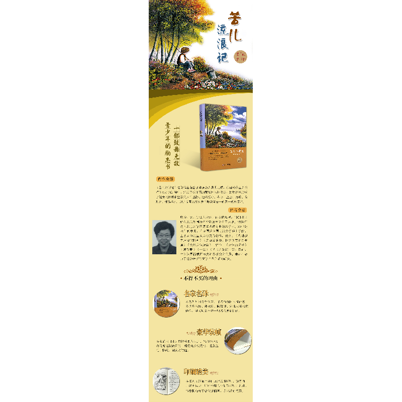 正版新书]苦儿流浪记(精)(法)马洛9787519006037高清大图