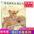 保冬妮奇幻书屋：屎壳郎先生波比拉
