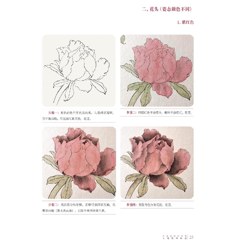 醉染图书工笔牡丹画法9787539898018高清大图