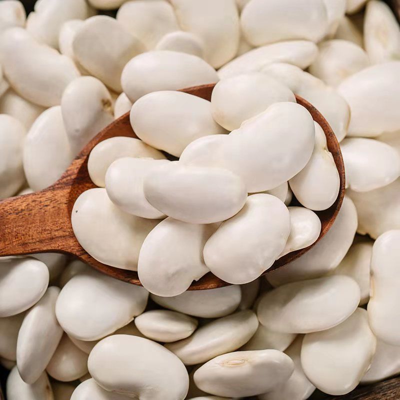 新货大白芸豆白云豆京豆大雪豆云南农家大白芸豆五谷杂粮 中颗粒 半斤
