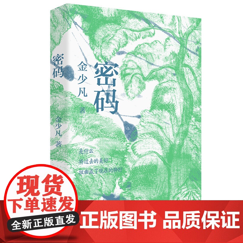 密码 首届曹儿童文学奖获得者金少凡作品这是一部略带悬疑因素的现实主义小说 中国工人出版社文学小说当代现代正版书籍高清大图
