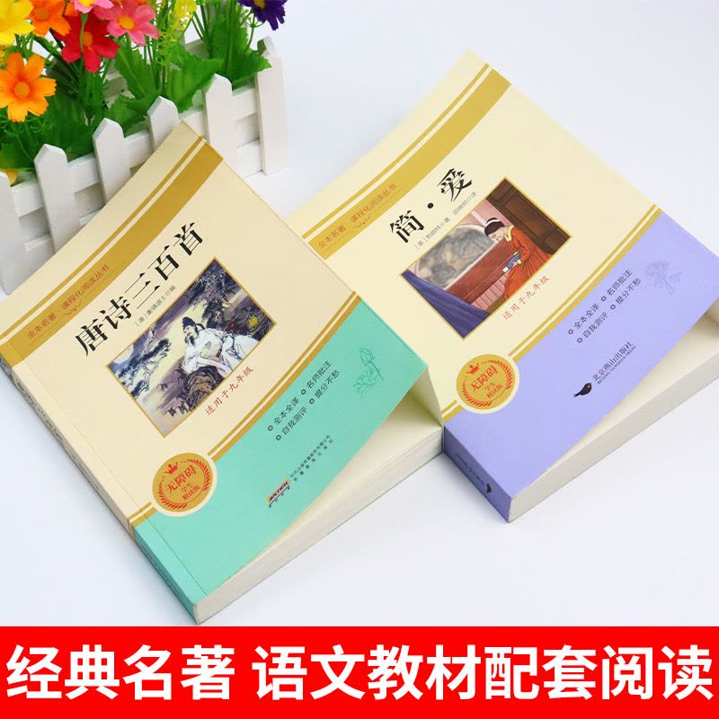 [人教版配套]九年级上下册必读正版12册 [正版]简爱和唐诗三百首人教版九年级上册下册必读的课外书儒林外史和水浒传施耐庵图片