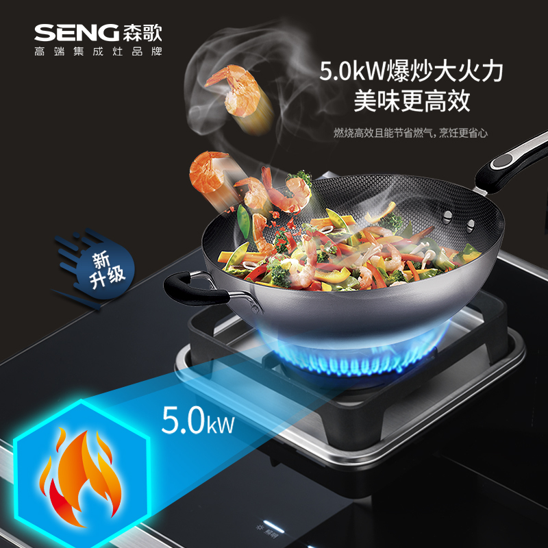 森歌(SENG)集成灶一气一电消毒柜款JJZDT-KA1(天然气)60℃恒温置物台 105L超大容量 5.0kW大火力,