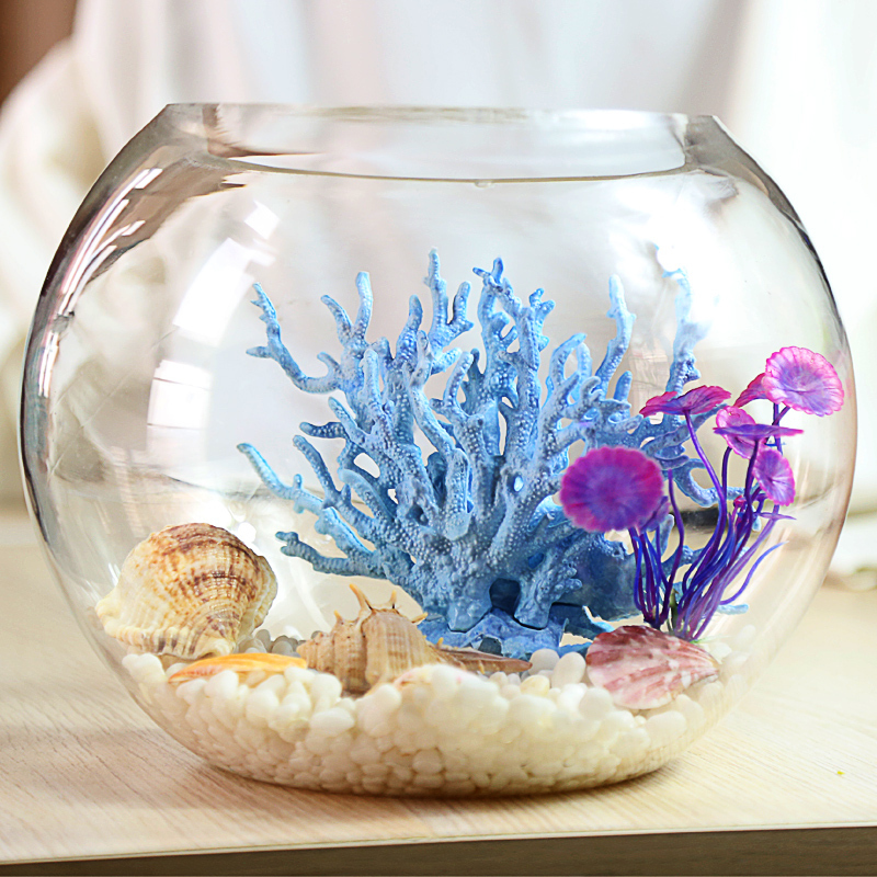 圆形鱼缸玻璃小号金鱼缸 迷你圆形创意水族箱 生态桌面绿植水培缸