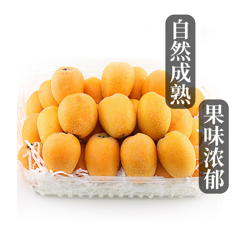 星派果米易枇杷带箱3/5斤装新鲜孕妇水果五星琵琶果现摘当季整箱顺丰