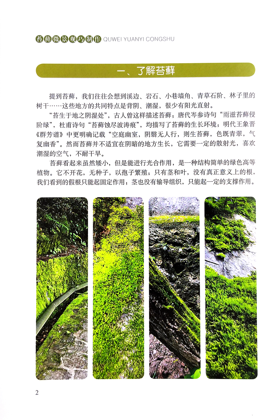 [醉染正版][书苔藓微景观巧制作 高琼 趣味园艺丛书 家庭园艺 养花 造景家庭园艺艺术微景观巧制作书籍高清大图