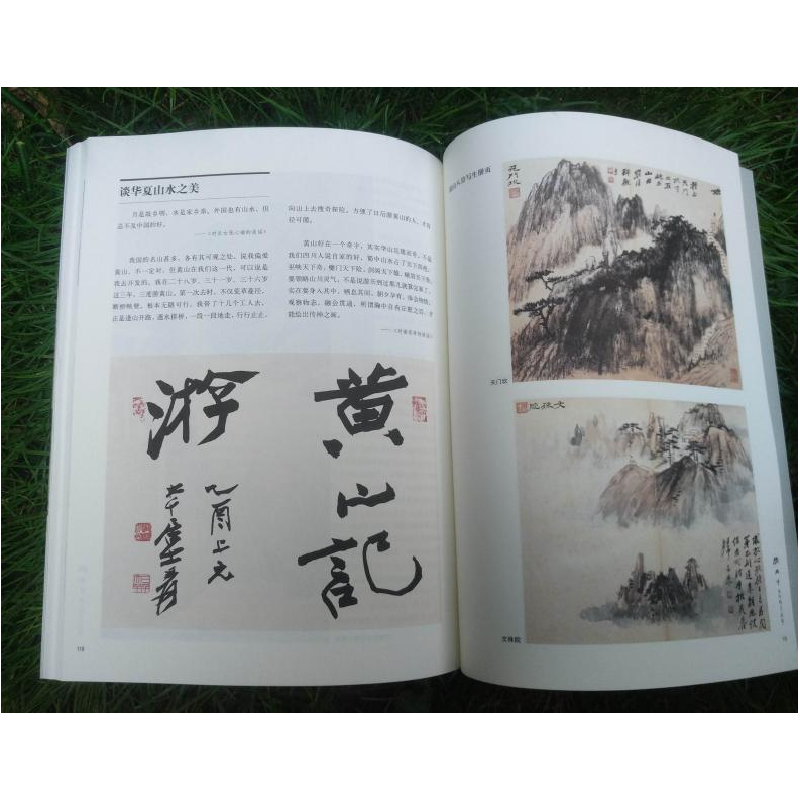 正版新书]张大千画学精义(新版)/名家讲稿系列张大千 著97875586高清大图