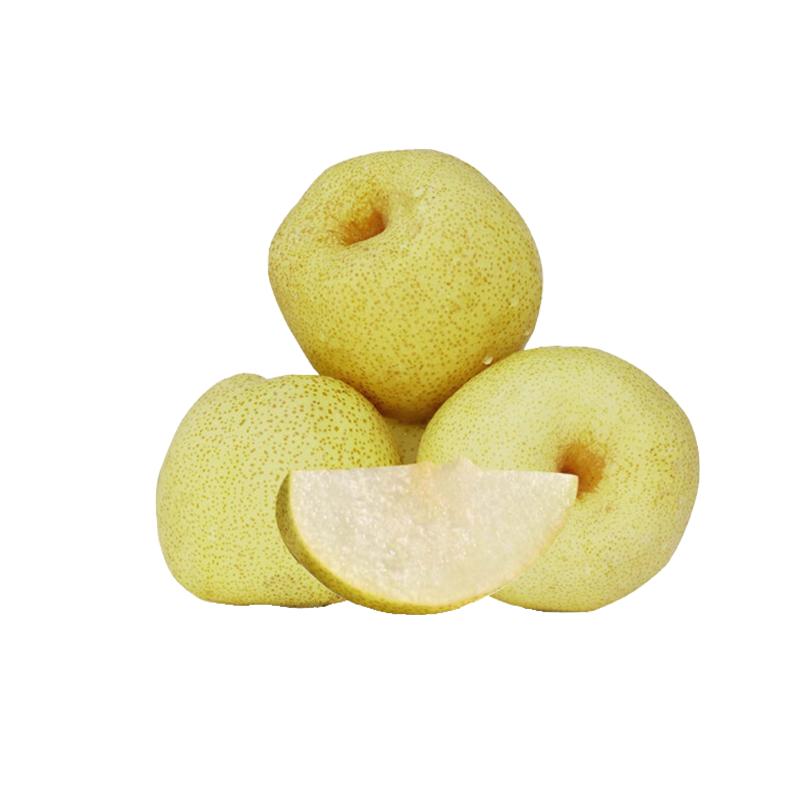 安徽宿州砀山原产地砀山酥梨18粒十斤装单果约250g300g新鲜水果原产地