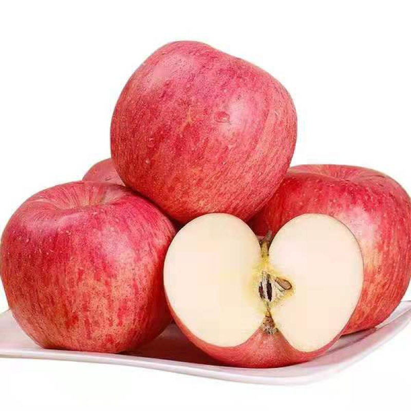 特价10斤239现摘红富士苹果山西新鲜水果脆甜爽口非冰糖心嘎啦果三天