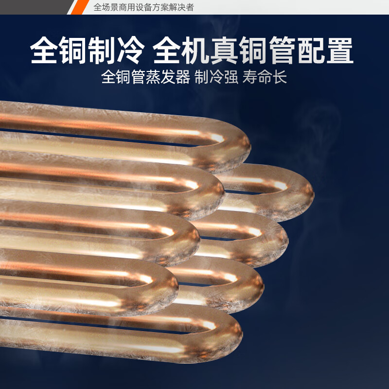 星星优品1330升六门冰箱全铜管立式冰柜商用大容量厨房饭店酒店不锈钢双温冷冻保鲜柜 六门全铜风冷双温BCD-1360WA高清大图