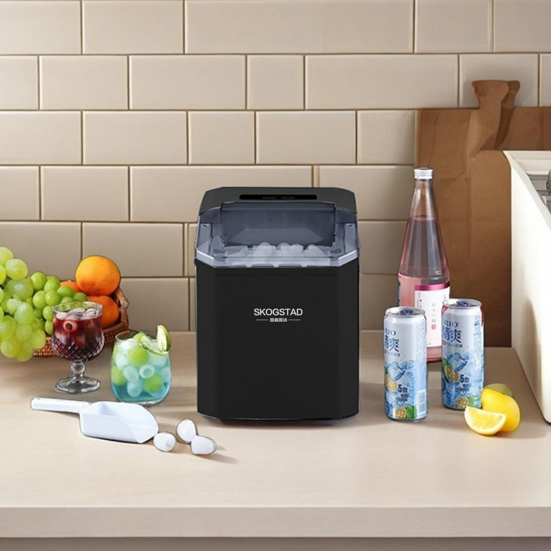 思嘉思达 制冰机 ZSW-ZB11高清大图