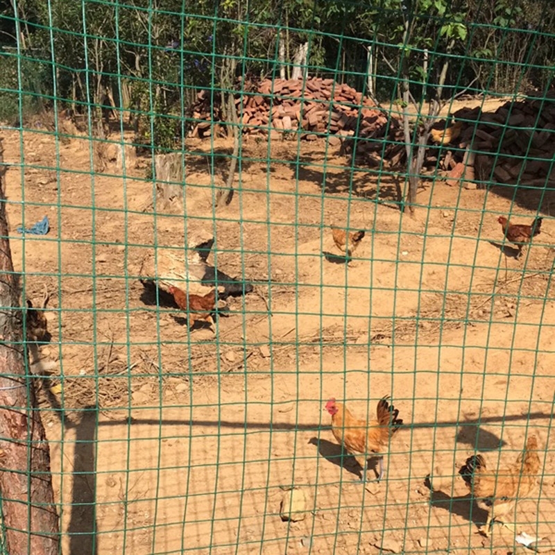 闪电客铁丝网围栏栅栏养殖网铁网养鸡网加粗户外拦鸡网围墙防护网家用